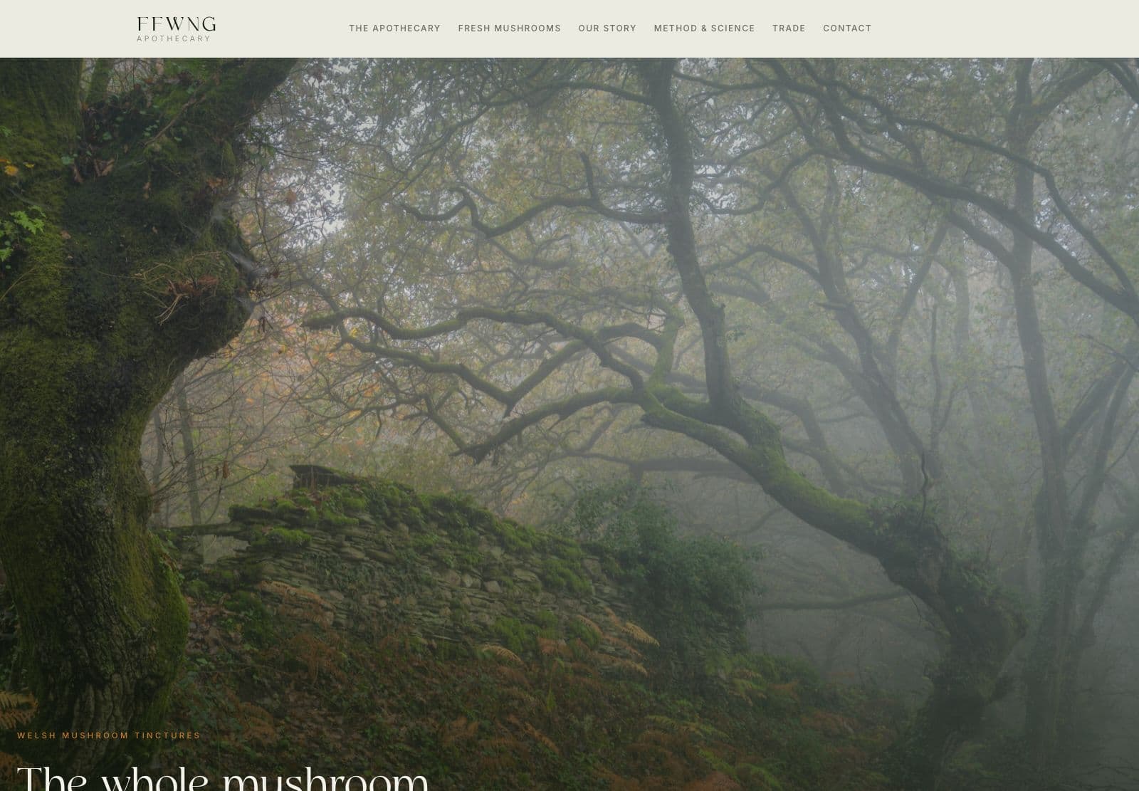 Hafan gwefan Ffwng Apothecary, pennyn gwyn asgwrn gyda'r logo geiriau serif dros ffotograff o goetir niwlog wedi'i orchuddio â mwsogl, gyda phennawd serif gwyn yn y gornel